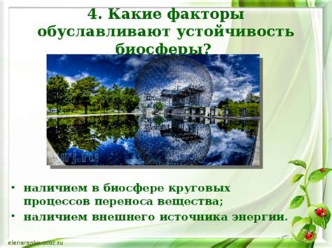 Сбалансированность и устойчивость биосферы как глобальной экосистемы