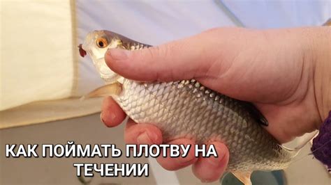 Секреты успешной биологической разнообразности