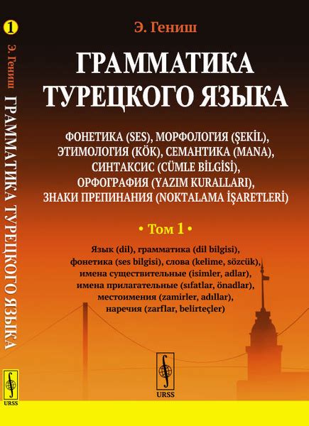 Семантика и грамматика слова "течет"