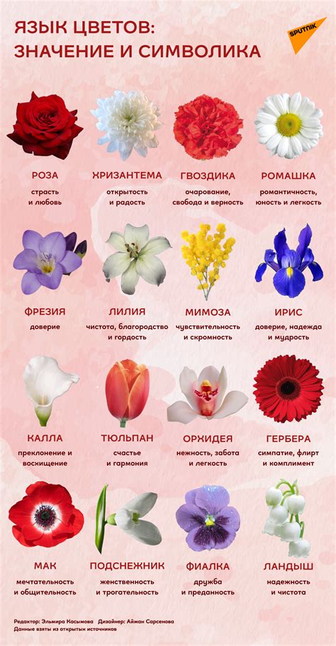 Символика цветов и природных явлений