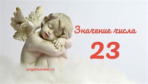 Символика числа 23