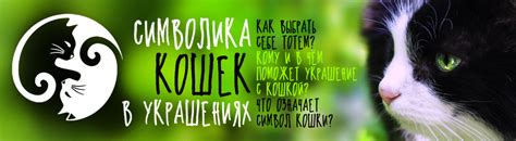 Символ кошки в сновидении