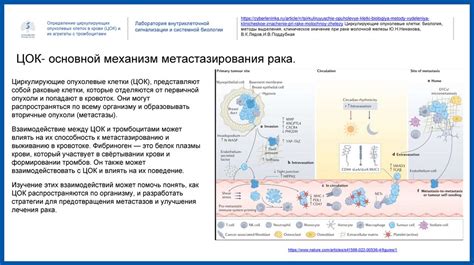 Снижение опухолевых маркеров в крови