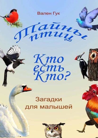 Сновидения: Тайны ловли и отпускания птиц