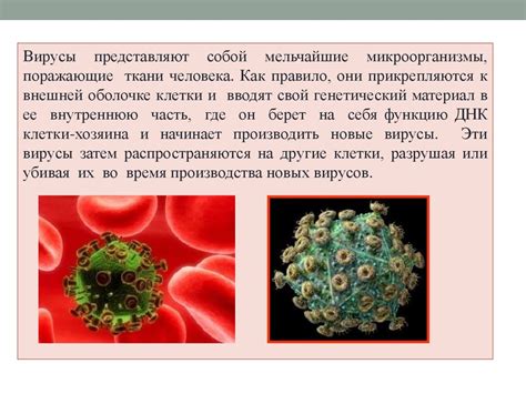 Советы по предотвращению заражения и повышению иммунитета
