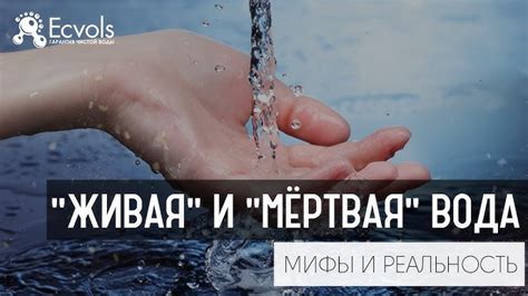Современное понимание термина "вода"
