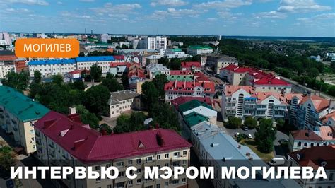Создание комфортных условий для жизни в вольере