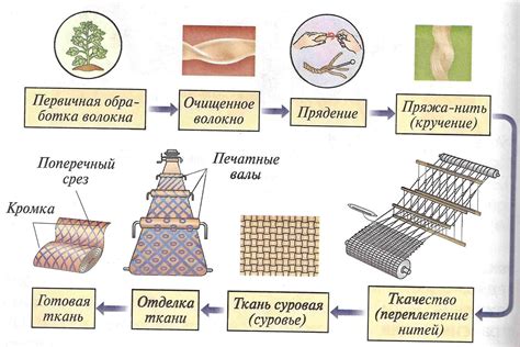 Сравнение свойств и особенностей льна с хлопком