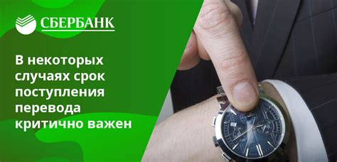 Сроки зачисления влияют на бизнес