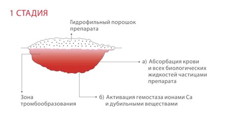 Сроки начала действия препарата