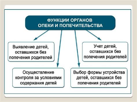 Сроки опеки и попечительства