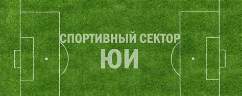 Страсть к спорту и победам
