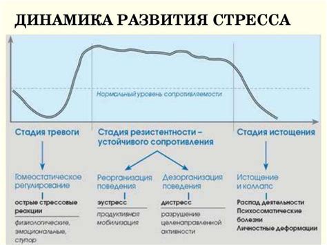 Стресс как фактор развития поноса