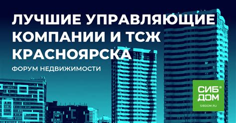 Суть проблемы: управляющие компании и ТСЖ