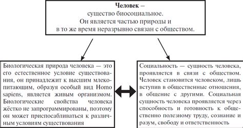 Сущность и основные отличия