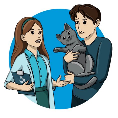 Сходства и различия хвостов у кошек и собак