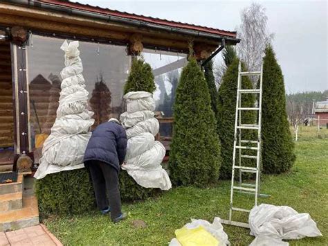 Съем укрытия весной