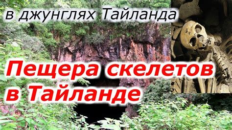 Тайна скелетов в грязной рвани