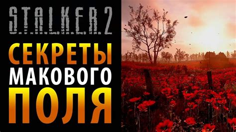 Тайны макового амулета