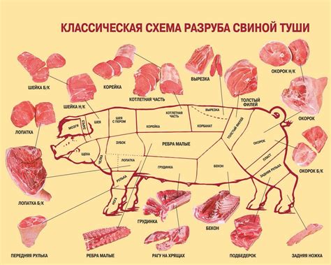 Текстура и вкус: сравнение карбоната и корейки