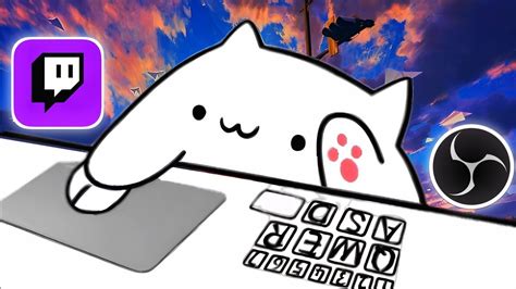 Тестируем работу bongo cat в OBS