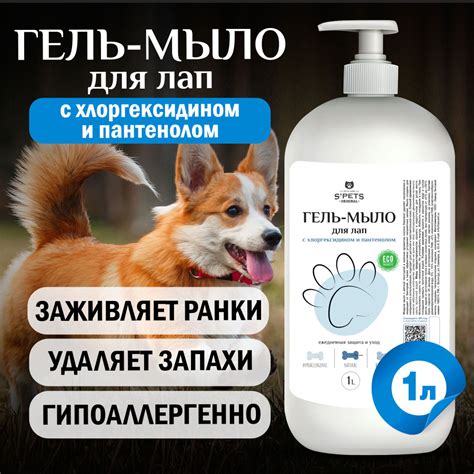 Техника мытья лапок