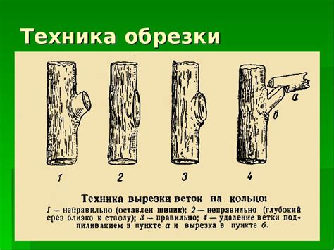 Техника обрезки
