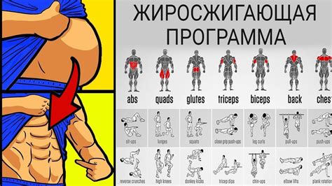 Техника тренировки грогги