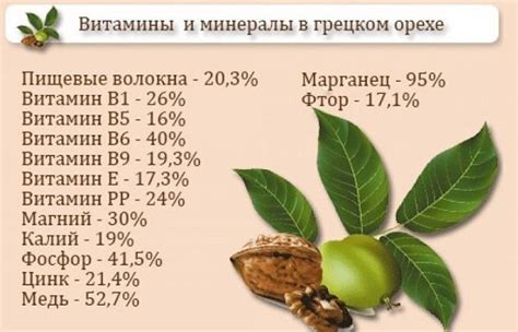 Токсические вещества в грецком орехе