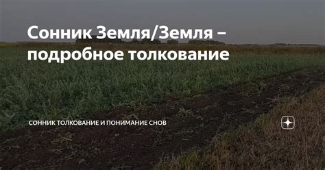Толкование и понимание