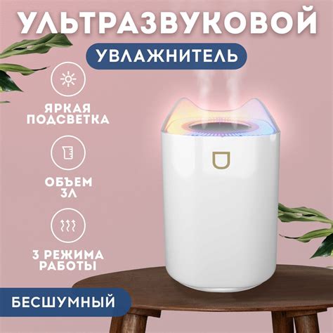 Увлажнитель воздуха: способ для борьбы с гундосей без соплей