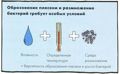 Узнайте причины образования плесени