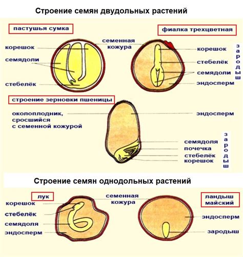 Уке и семе - сходства и различия в использовании и назначении