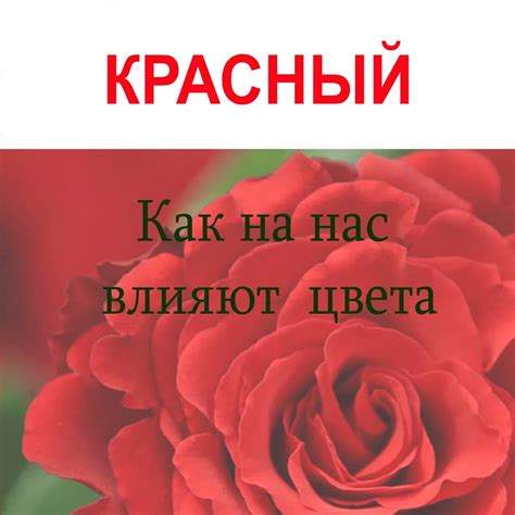 Улучшает динамичность