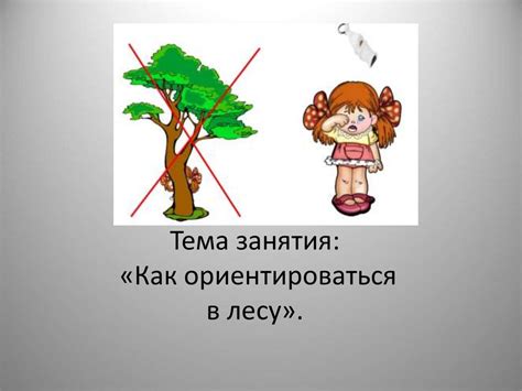 Умение ориентироваться в лесу
