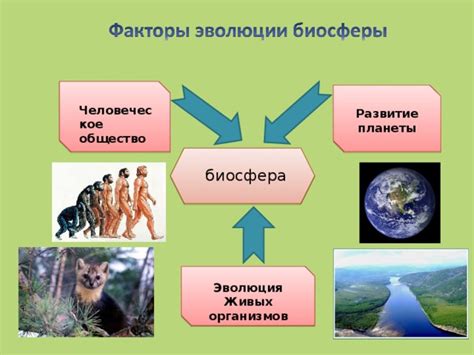 Уникальность биосферы в контексте экологии планеты