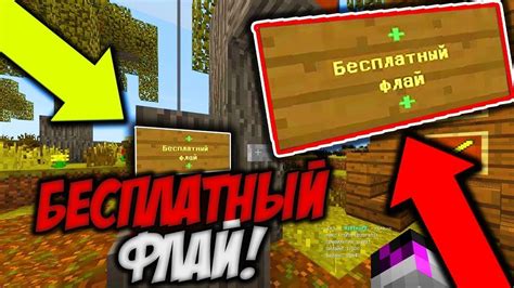Управление и мониторинг сервера Brute в Minecraft