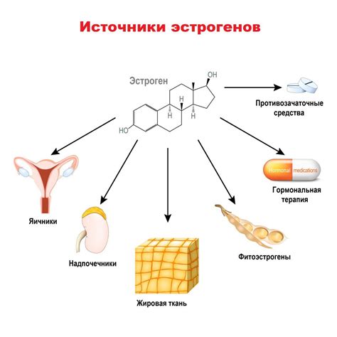 Уровень эстрогенов