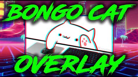 Установка драйверов и ПО для Bongo Cat Cam
