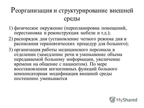 Установление четкого расписания кормления