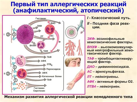 Ухудшение пищеварения и аллергические реакции