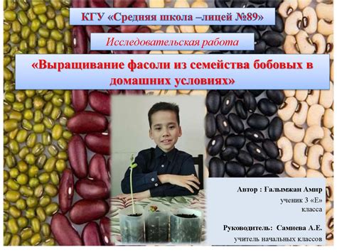 Ферменты в фасоли