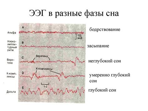 Физиологические реакции во время кошмара