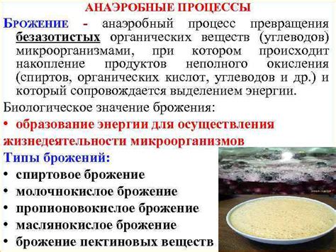 Формирование пектиновых субстанций