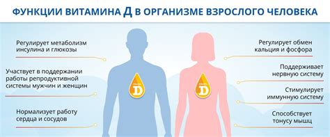 Функции витамина D3 в организме человека