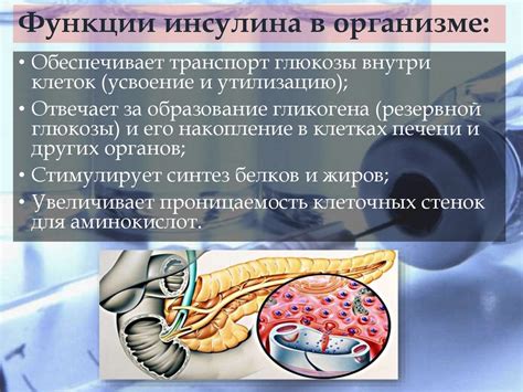 Функции инсулина в организме