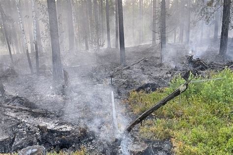 Чем опасно вдыхание дыма