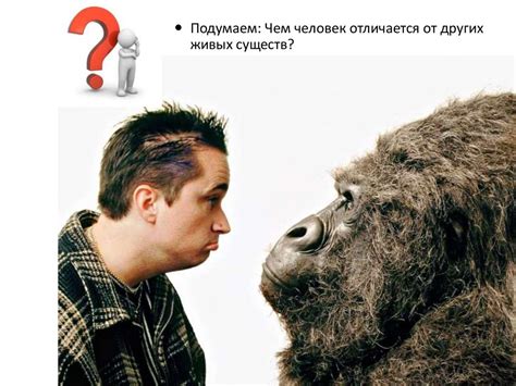 Чем отличить себя от других