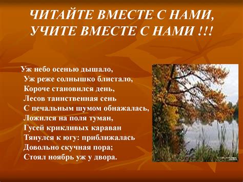 Читайте стихи тайком