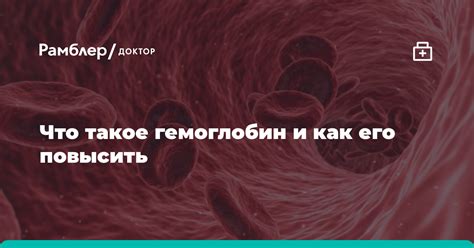 Что такое гемоглобин и зачем его проверять
